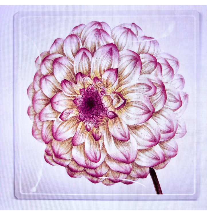 Ben's Garden Pink Dahlia Decouplage Glass Tray
