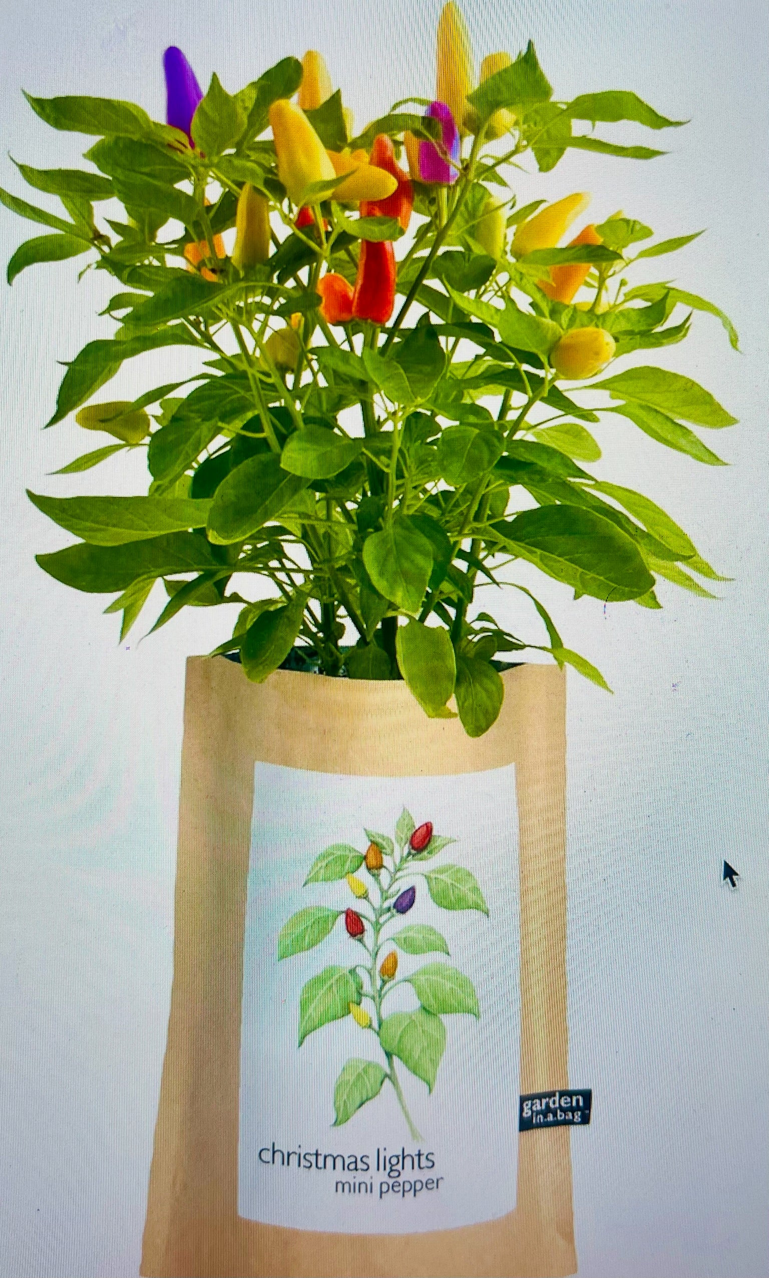 Potting Shed Creations