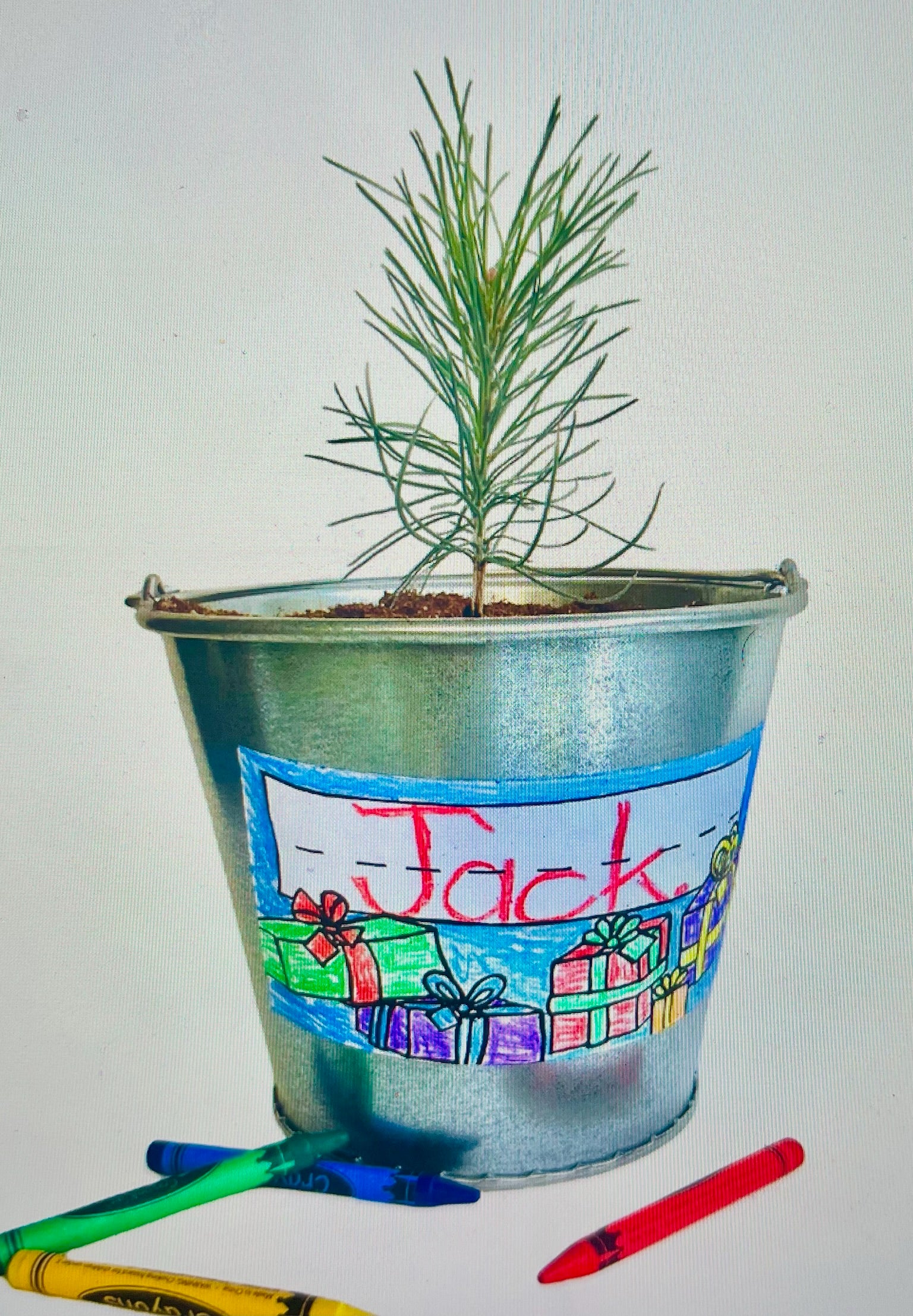 Potting Shed Creations