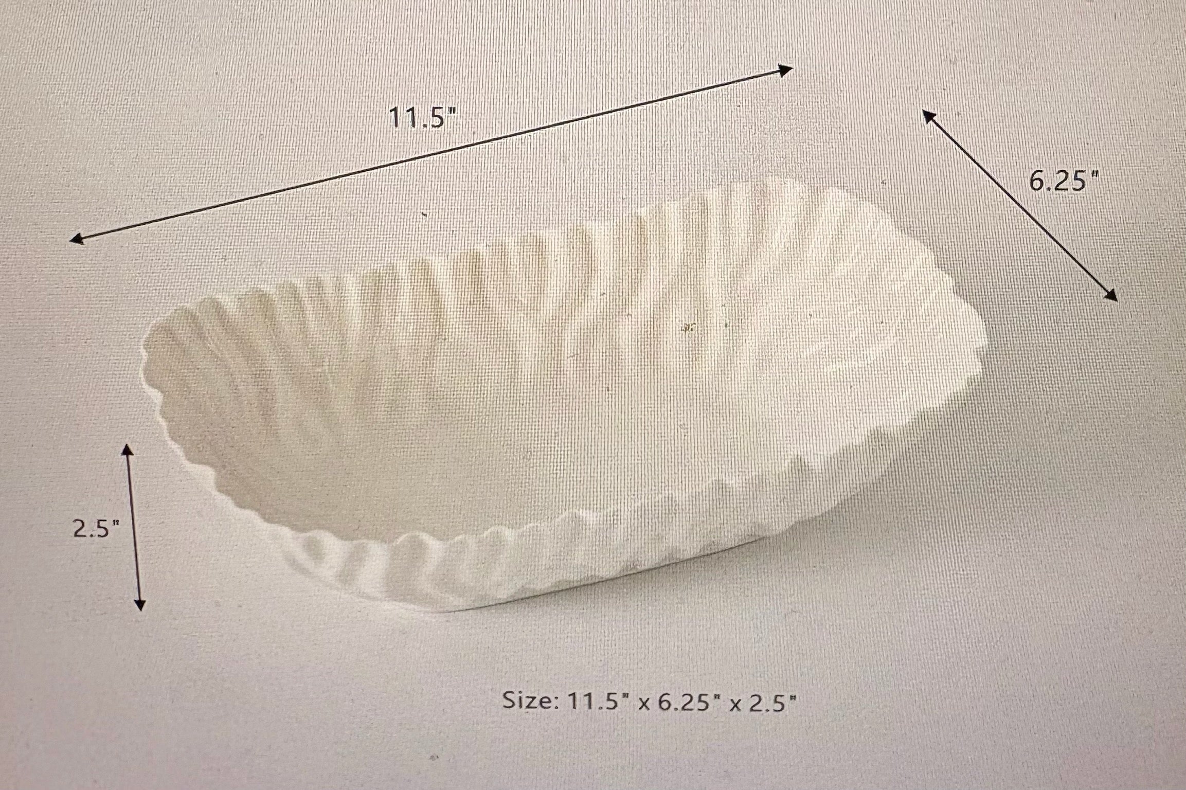 Pampa Bay Mascali Medium Deep Server